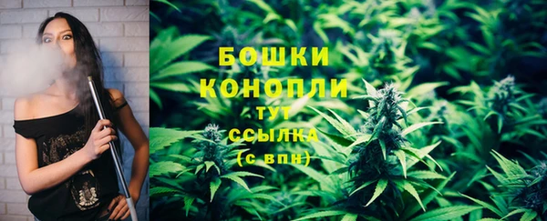 PSILOCYBIN Богородицк